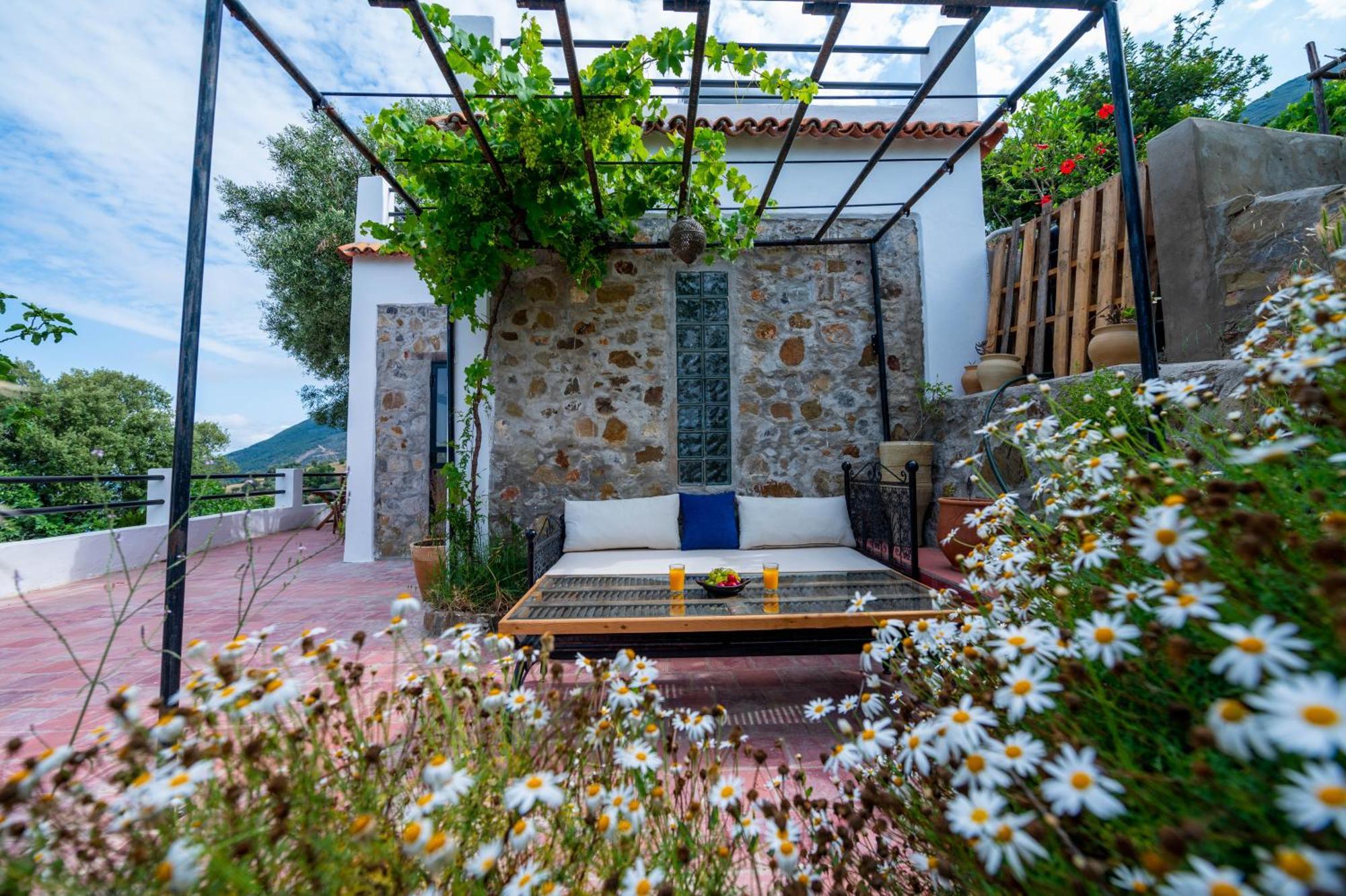 Farm Finn Chefchaouen Eksteriør bilde